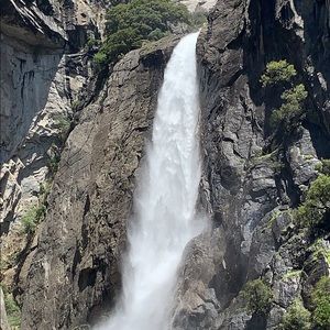 Meet your Posher, Sheila